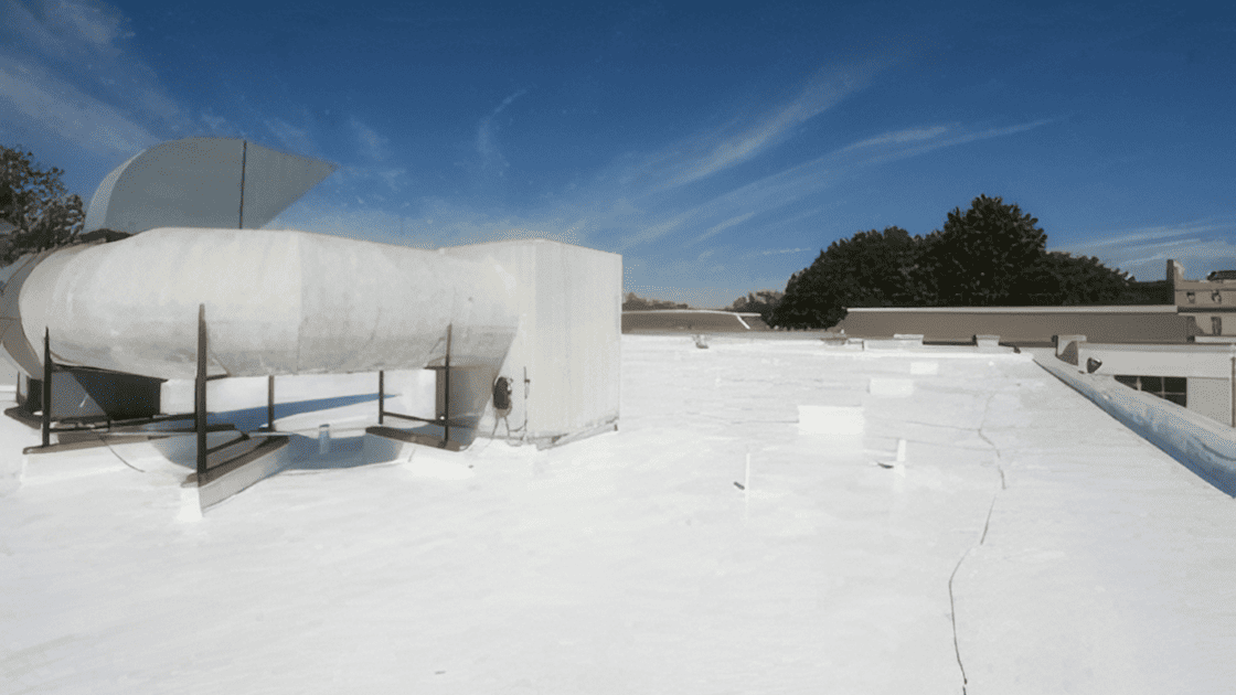 Wingum Plus H2O - Articolo caso studio - Winkler Chimica