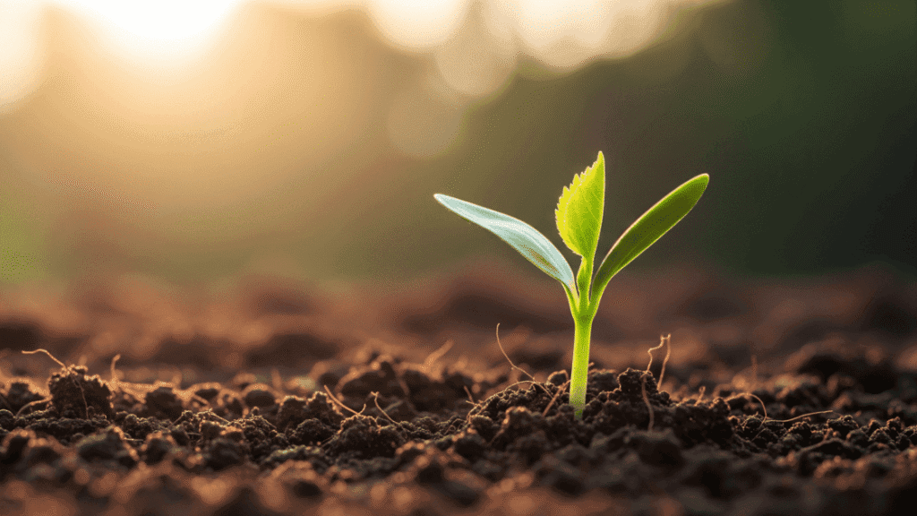 Winkler per l’uomo e per l’ambiente - Articolo news - Winkler Chimica