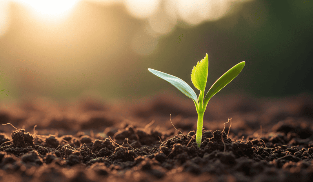 Winkler respects the environment and cares about human’s safety