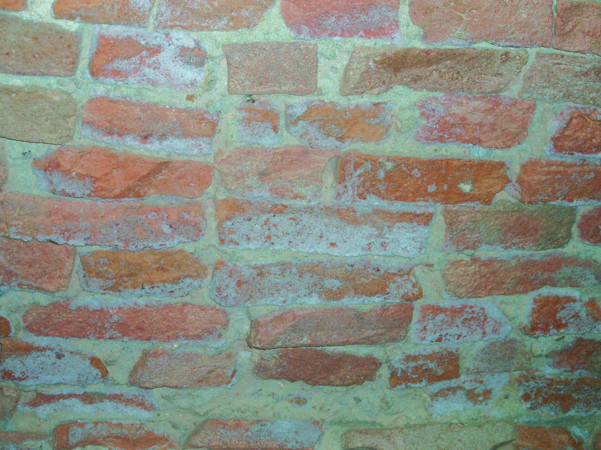 Skermo 9 consolidante - Winkler Chimica