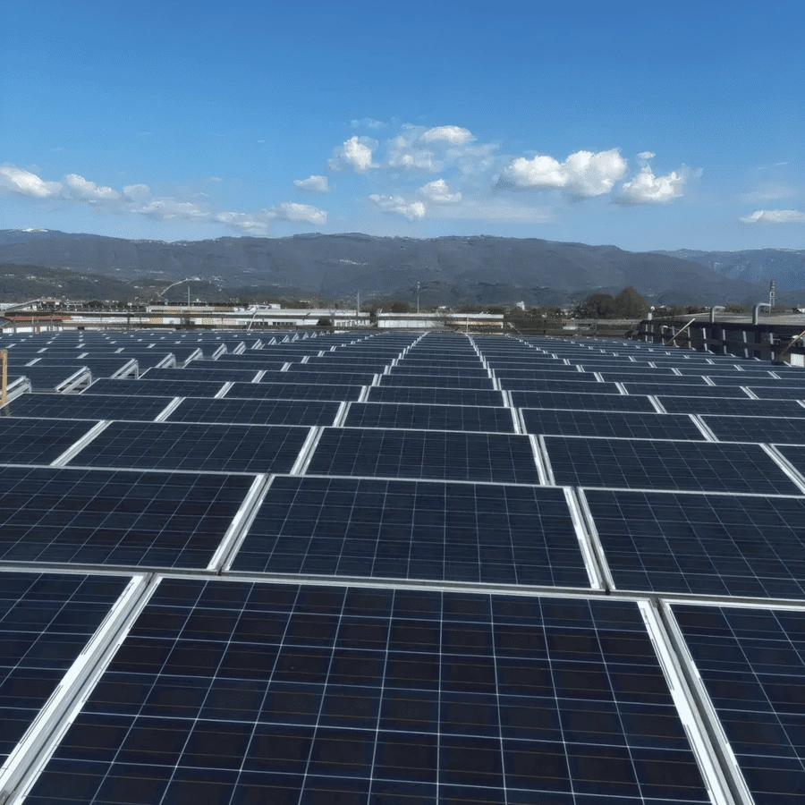 WingumPlusH2OReflex-BroofT2